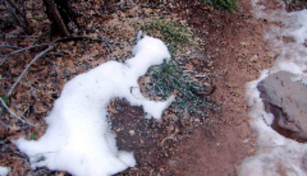 sterling trail snow kokapeli