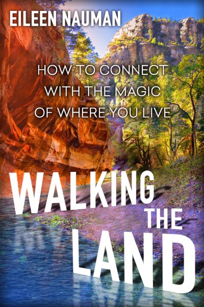 Walking the Land book cover