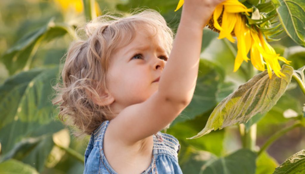 Child with Sunflowers