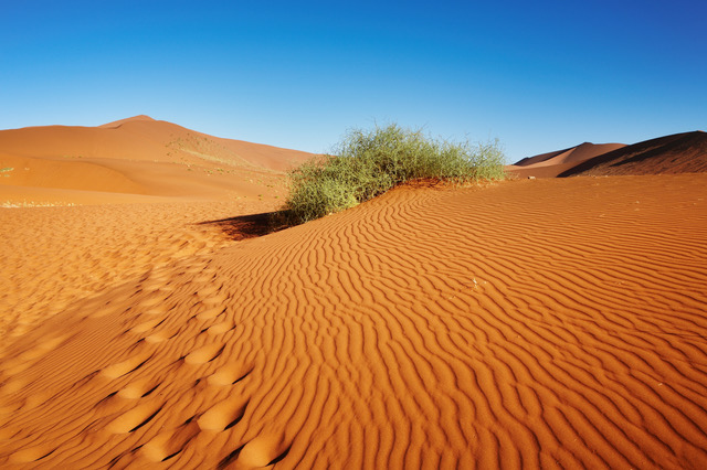 Namib Desert in Africa