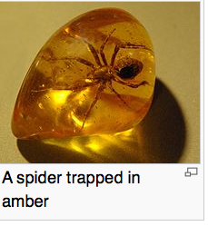 spider trapped in amber