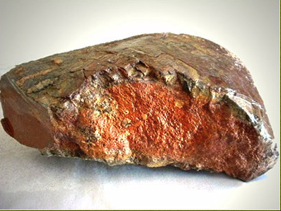 agatized dinosaur bone