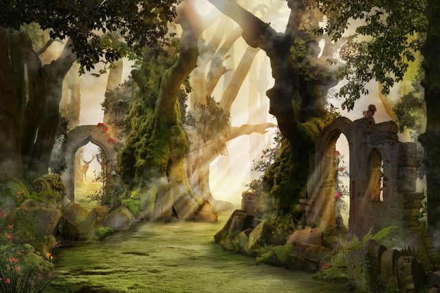 Sacred ancient trees