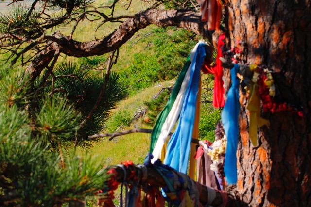 Bear Butte vision quest prayer flags tied to the tree