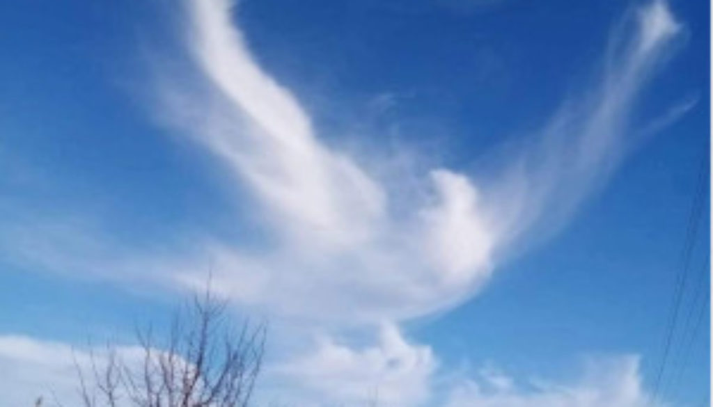 Cloud formation that resembles a bird in the sky with wings spread wide