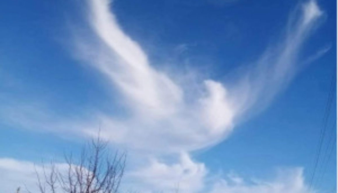 Cloud formation that resembles a bird in the sky with wings spread wide