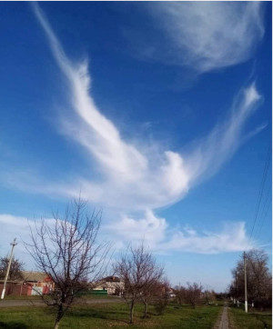 Do you see the bird in the clouds?