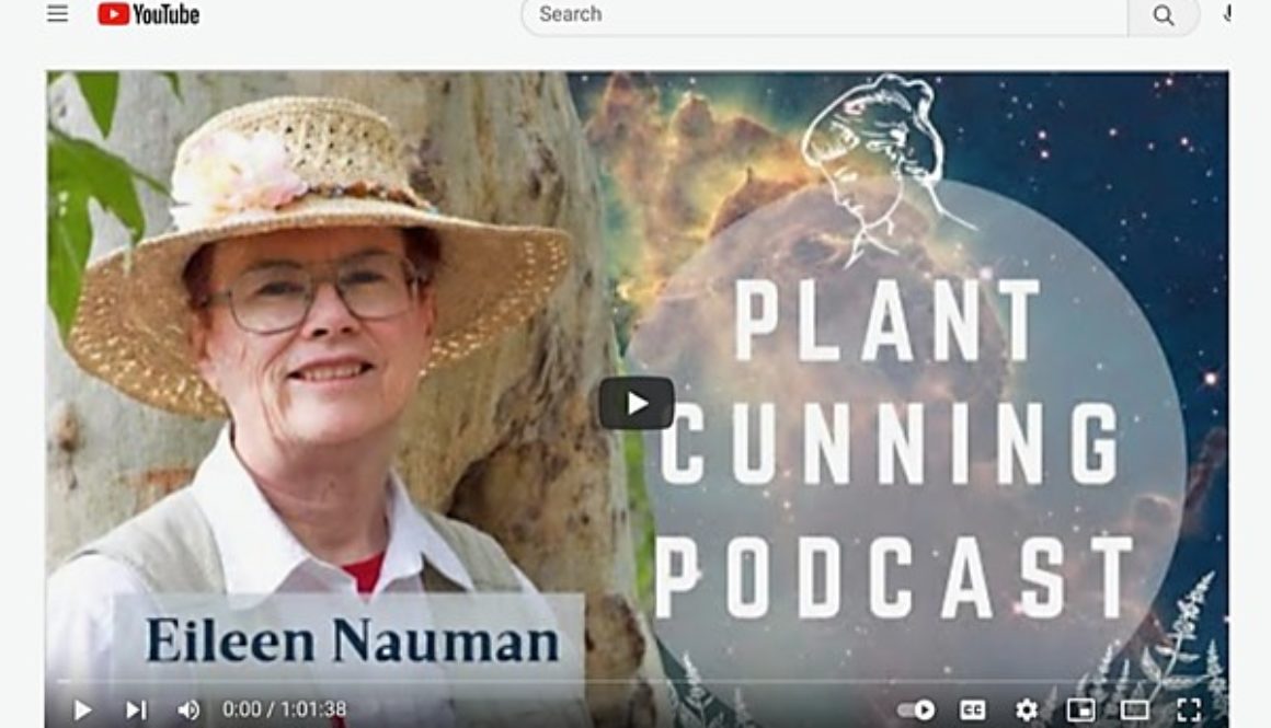 Preview of Plant Cunning Podcast with picture of guest Eileen Nauman