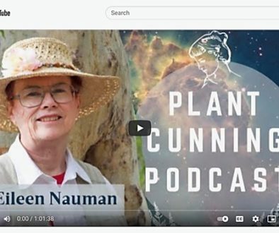 Preview of Plant Cunning Podcast with picture of guest Eileen Nauman