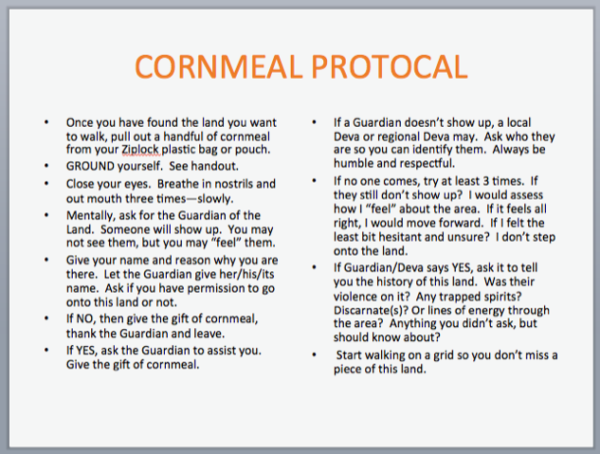 Slide detailing Cornmeal Protocol