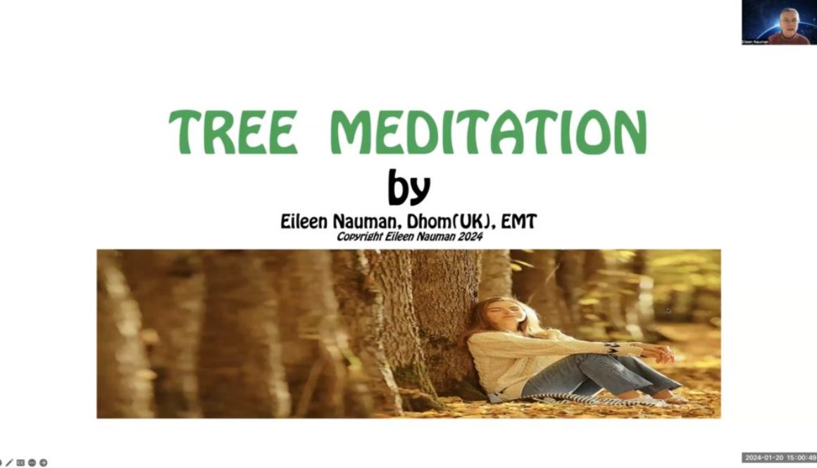 Tree Meditation Still_1.1.1